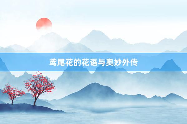 鸢尾花的花语与奥妙外传